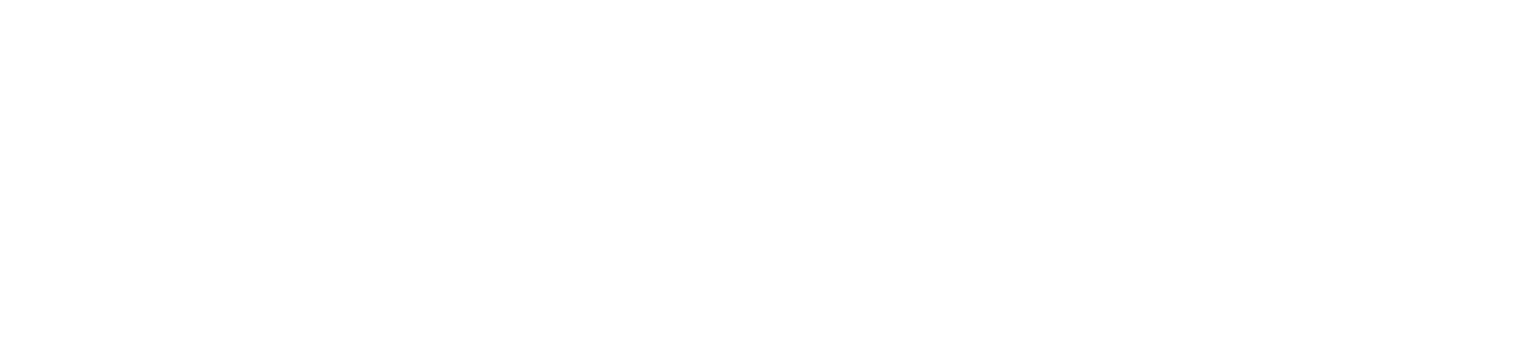 Zigglir